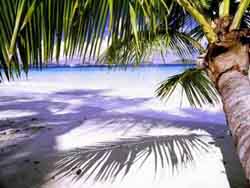 Urlaub online buchen